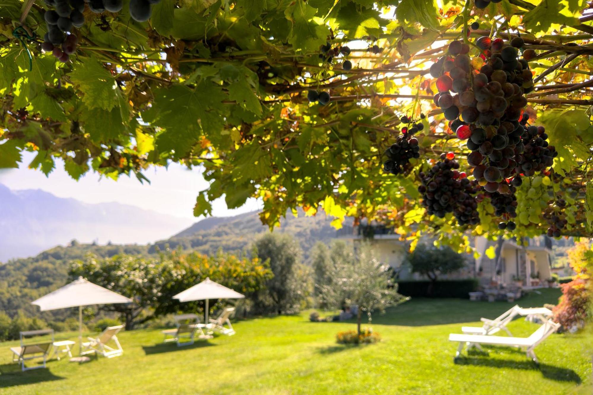 Mos Country House Tremosine Dış mekan fotoğraf